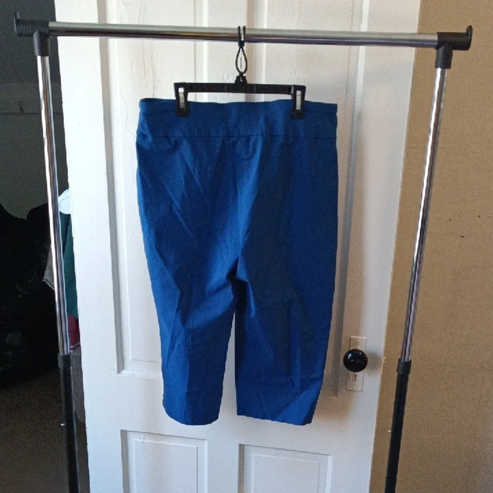 Ruby Rd. Blue Capris - Picture 3 of 4
